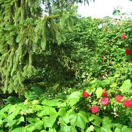 Bulgary Village Πανσιόν *